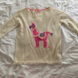 Cashmere Alpaca sweater